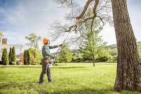 Best Tree Trimming and Pruning  in Linden, AL