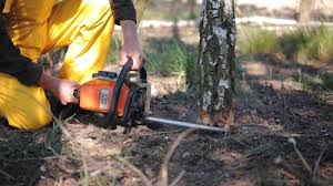 Best Soil Testing and Treatment  in Linden, AL