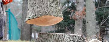  Linden, AL Tree Removal Pros