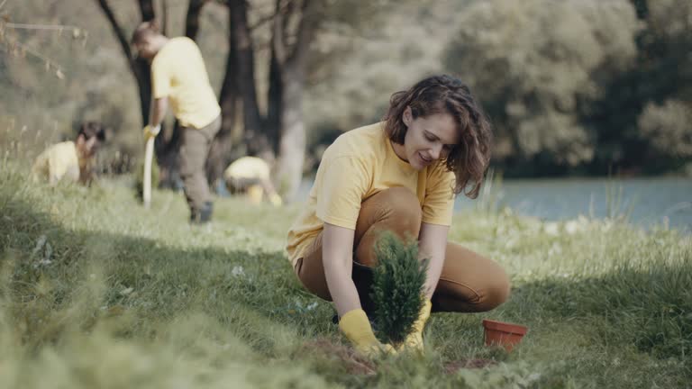 Best Tree and Shrub Care  in Linden, AL