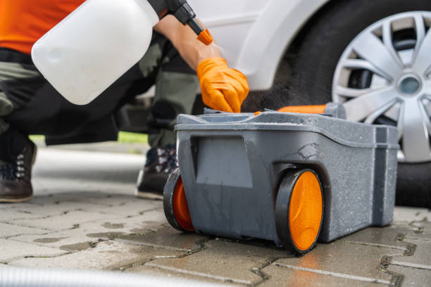 Best Lawn Renovation and Restoration  in Linden, AL